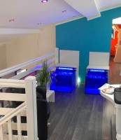 Kit fish spa Elite avec dossier 799 € ht Le top des ventes N°2