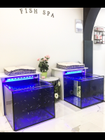 Kit fish spa Elite 715 € ht Le top des ventes N°1