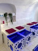 Kit aquarium fish spa Bubble 835€ ht 